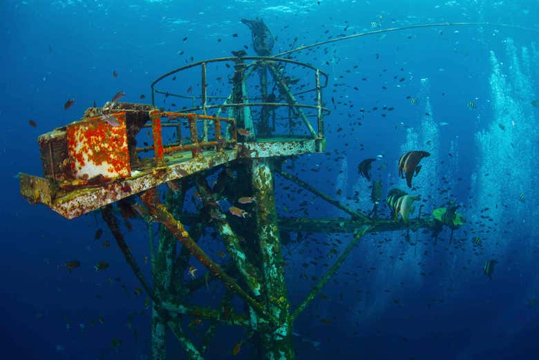 El mástil del barco